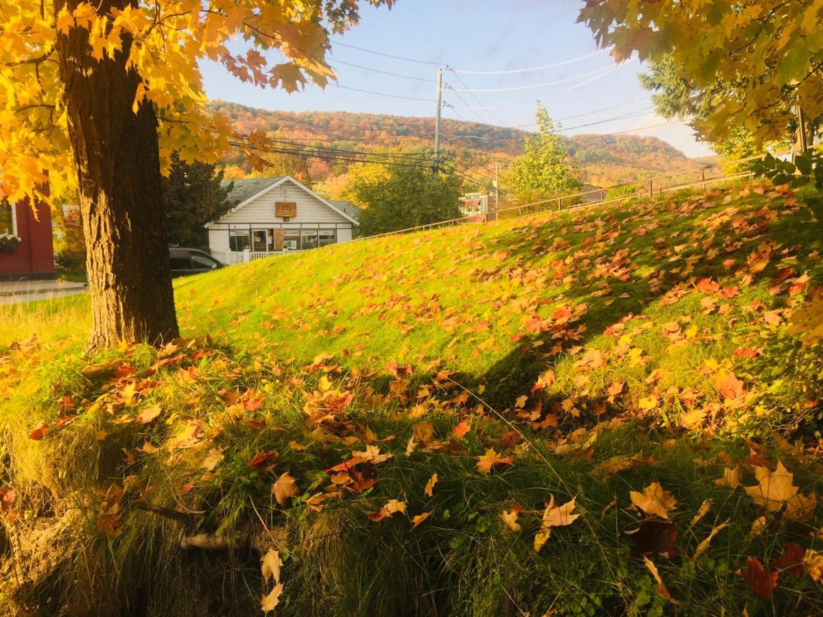 Le « Lake View » De La Suite North Hatley Zewnętrze zdjęcie